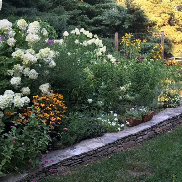 A TIME TO REFRESH - Picture 8 of 8