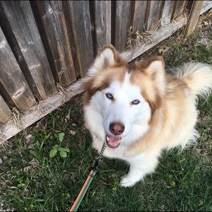 Meet your Posher, Morgan