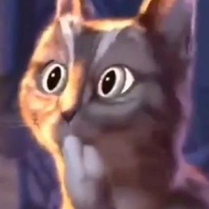 Meet your Posher, Rosa