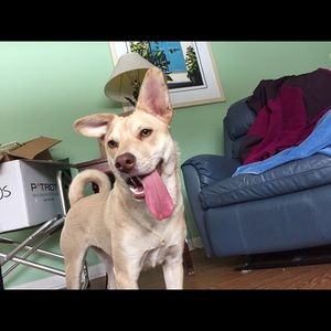 Meet your Posher, Bryn