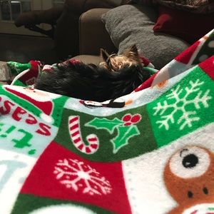 Meet your Posher, Tonya