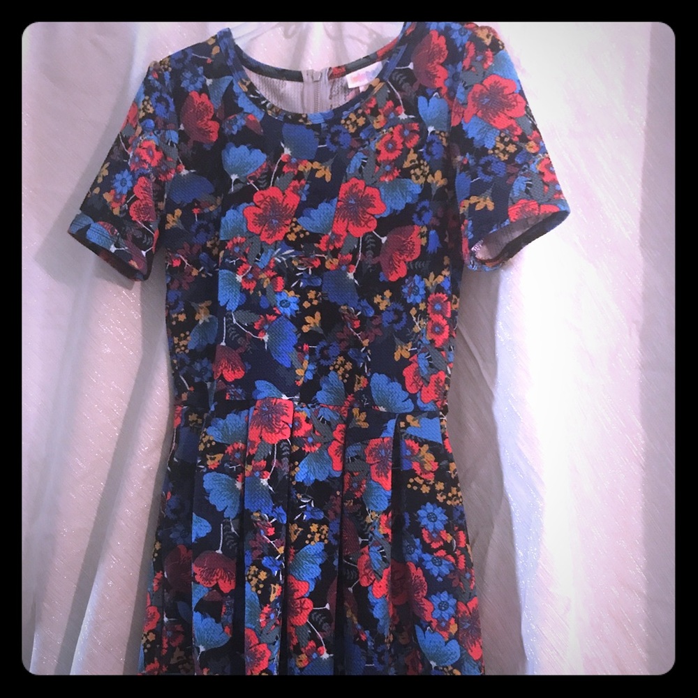 LulaRoe Amelia size XS