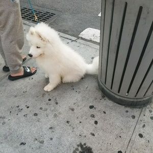 Meet your Posher, Tracey