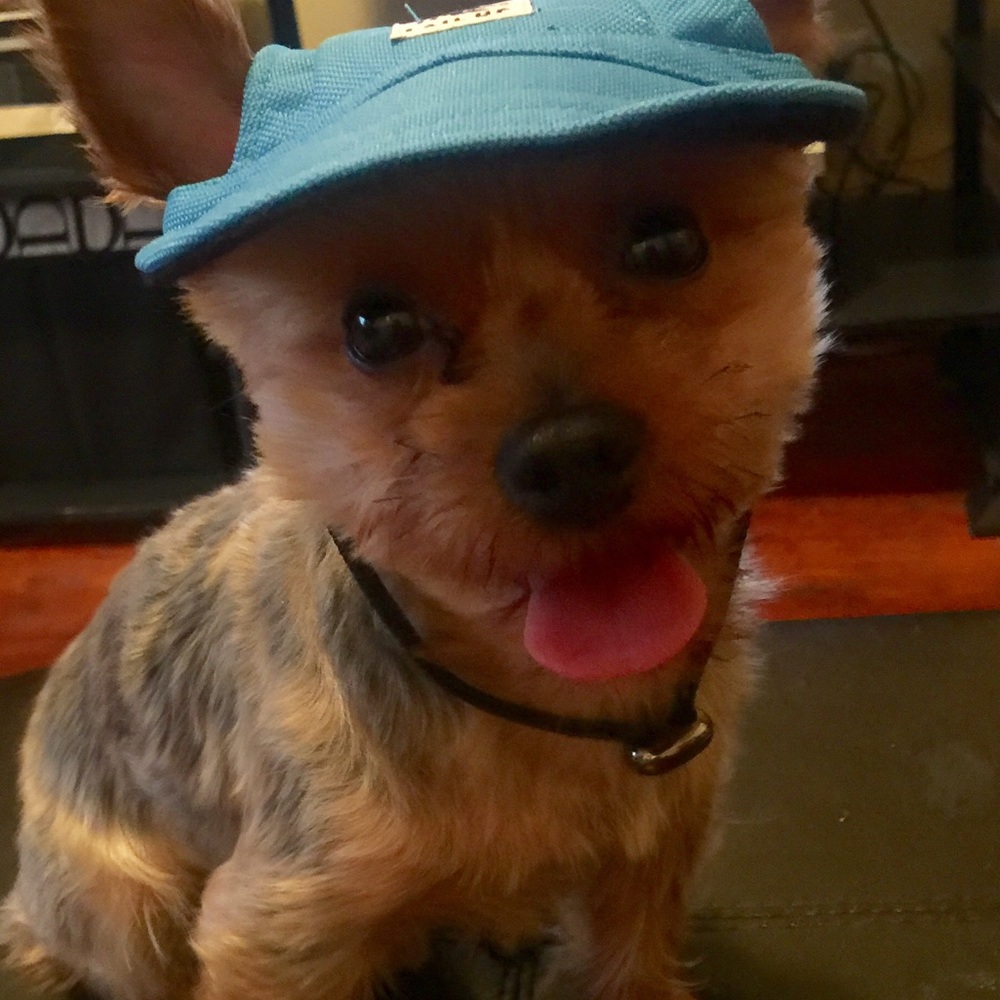 Meet your Posher, Gina