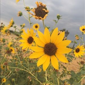 Meet your Posher, Bri