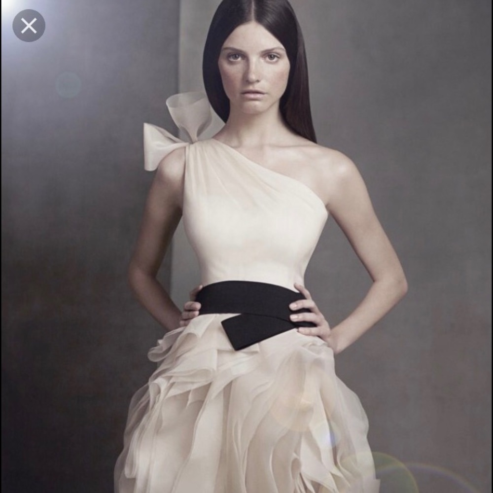 Vera Wang Dress