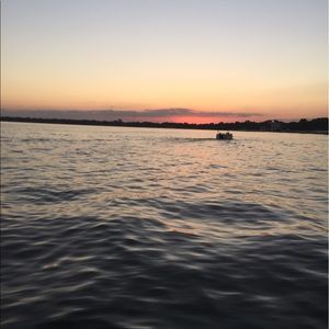 Meet your Posher, Andee