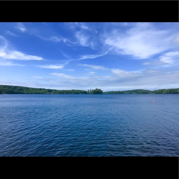 Meet your Posher, Emma - Picture 1 of 1