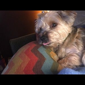 Meet your Posher, Rachael