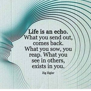 Meet your Posher, Kacie