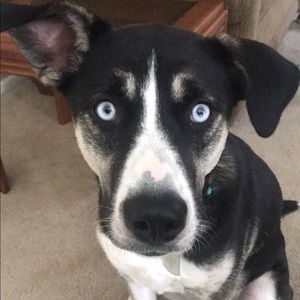 Meet your Posher, Jodi