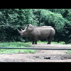 Meet your Posher, Gregory