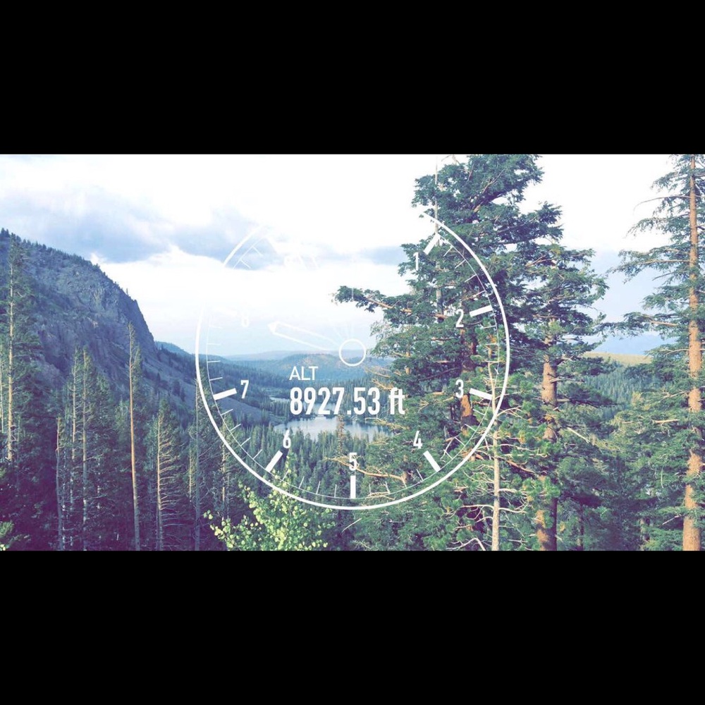 Meet your Posher, Alyssa