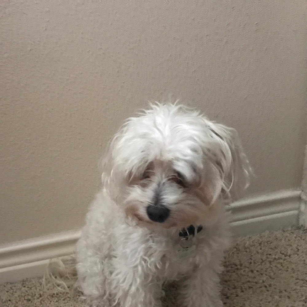 Meet your Posher, Kennedy