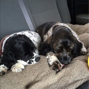 Meet your Posher, Lynn