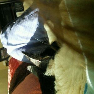 Meet your Posher, Jody