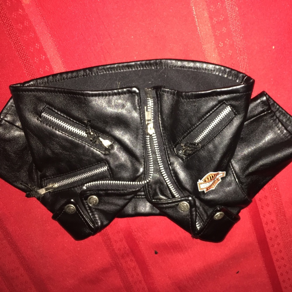 Harley Davidson's vest. Real leather.