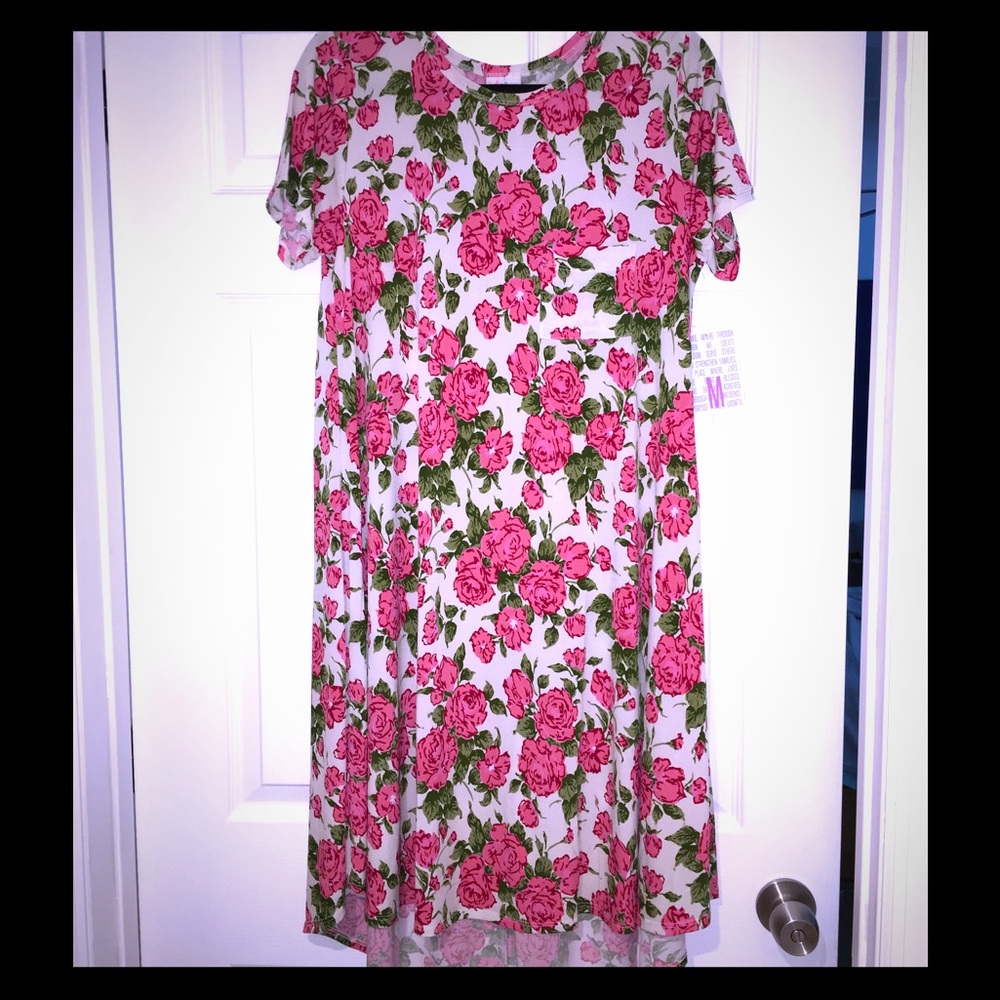 Unicorn 🦄 Print, LuLaRoe Roses Carly, Size Medium