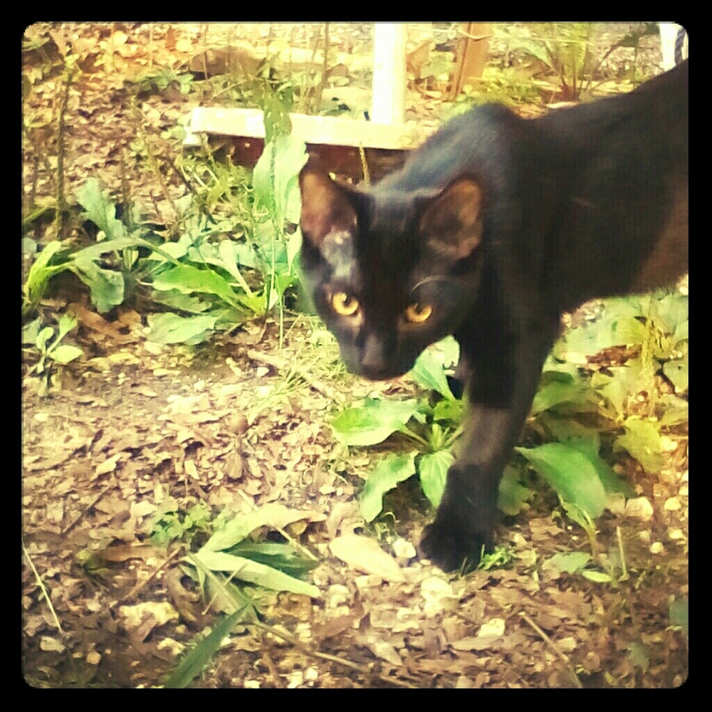 Meet your Posher, Rachael