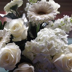 Meet your Posher, Lee