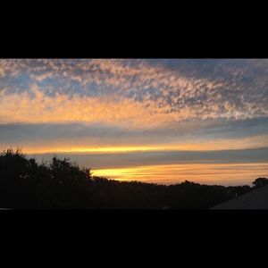 Meet your Posher, Caitlyn