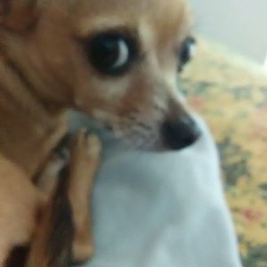 Meet your Posher, Linda