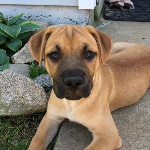 Meet your Posher, Crystal