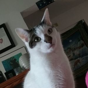 Meet your Posher, Ann