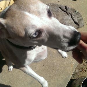 Meet your Posher, Elizabeth