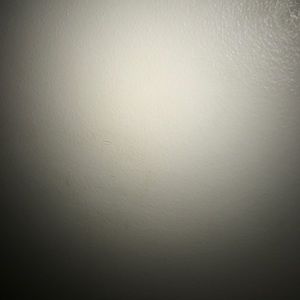 Meet your Posher, Dylan