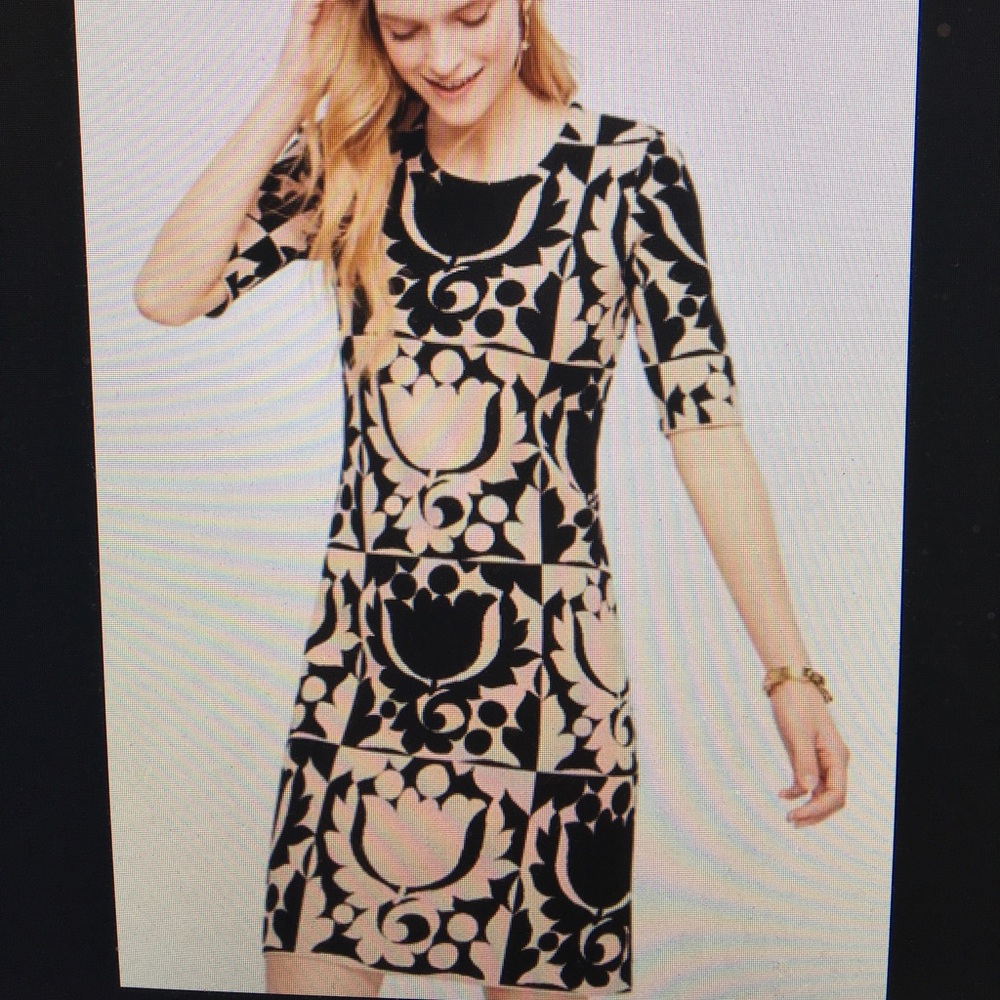 Ann Taylor Tulip Sweater Dress