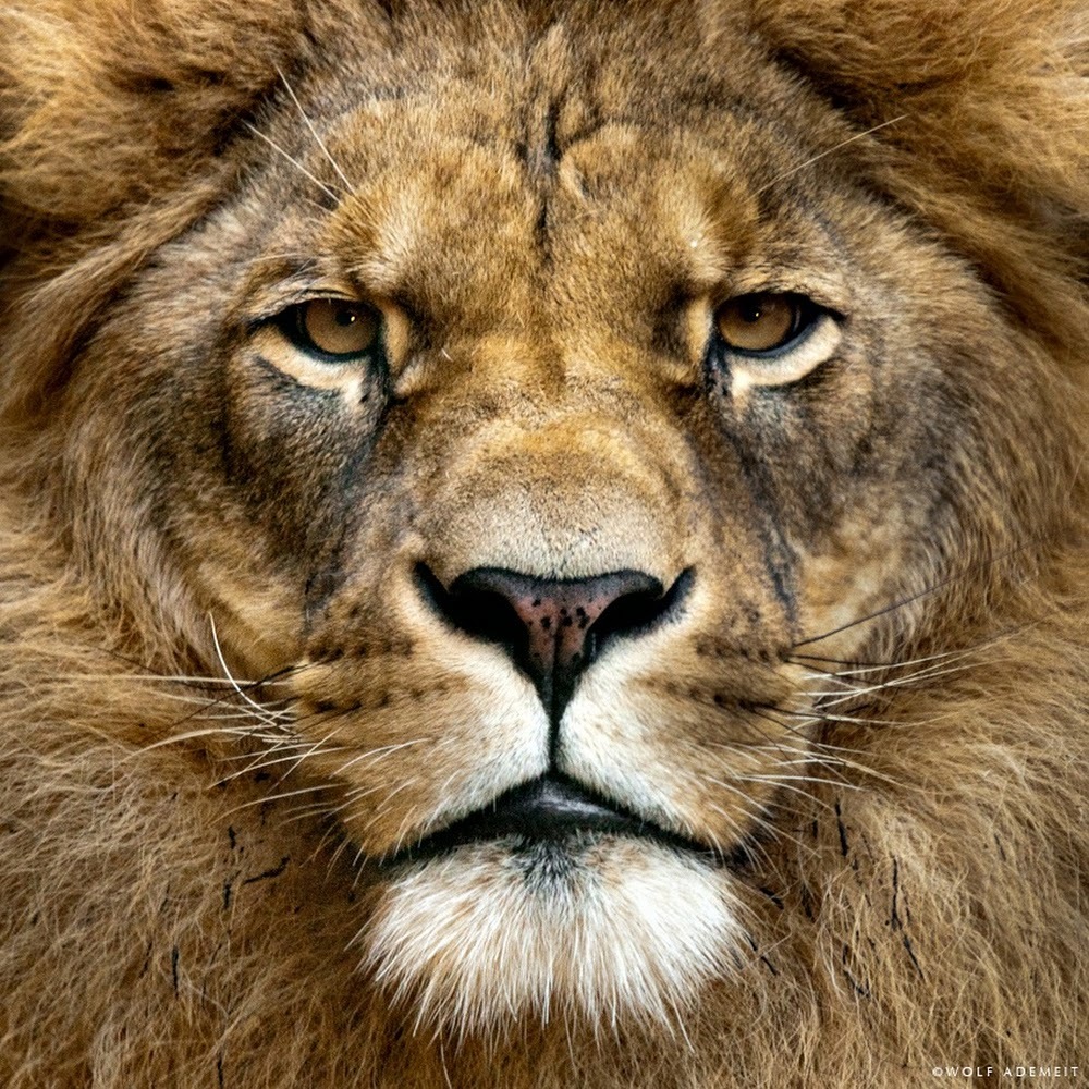 Meet your Posher, Berwick