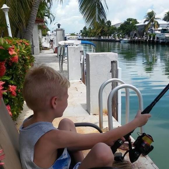 Meet your Posher, Jacqueline - Picture 1 of 1