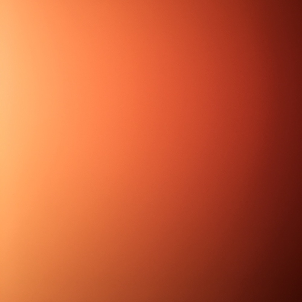 Meet your Posher, Sophie