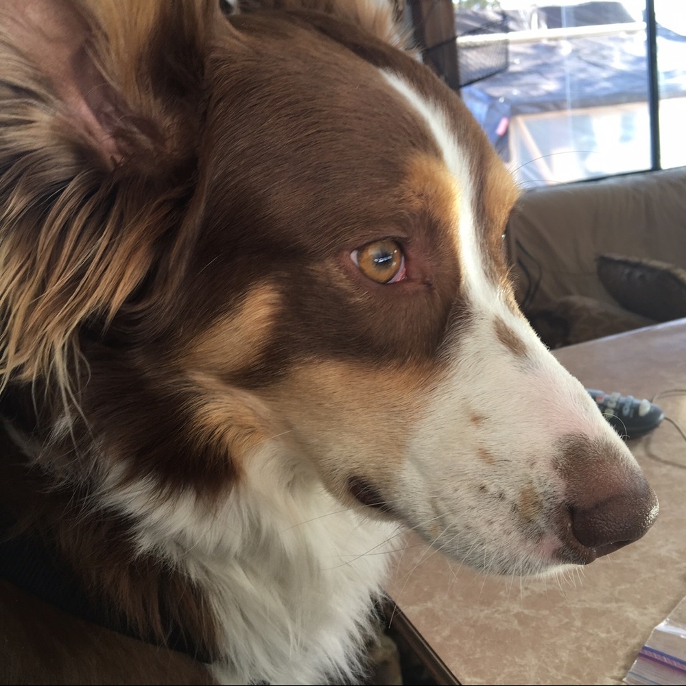 Meet your Posher, Cindy