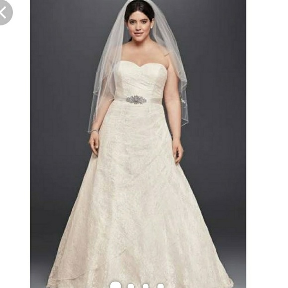 Ivory David's bridal Wedding Dress - Picture 1 of 8