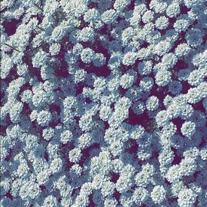 Meet your Posher, Summer