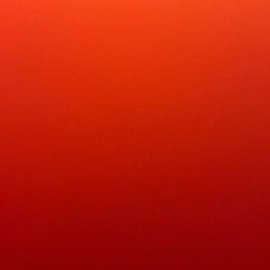 Meet your Posher, Ramona