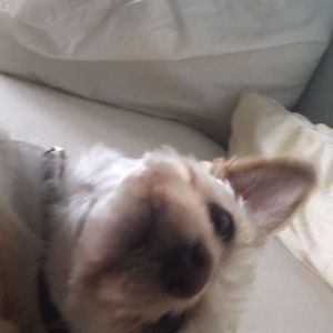 Meet your Posher, Nick