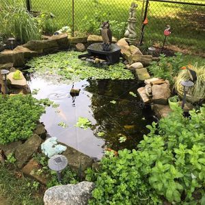 Meet your Posher, Lori