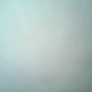 Meet your Posher, Elmer