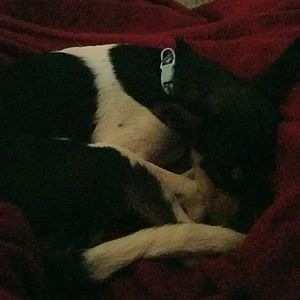 Meet your Posher, Jaimee