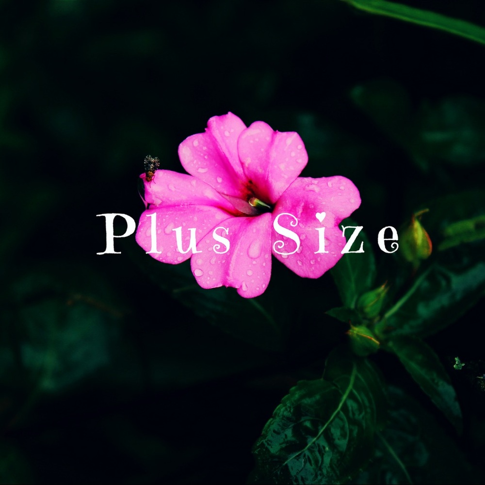 🌸Plus Size🌸