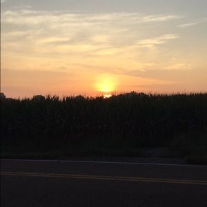 Meet your Posher, Emilie