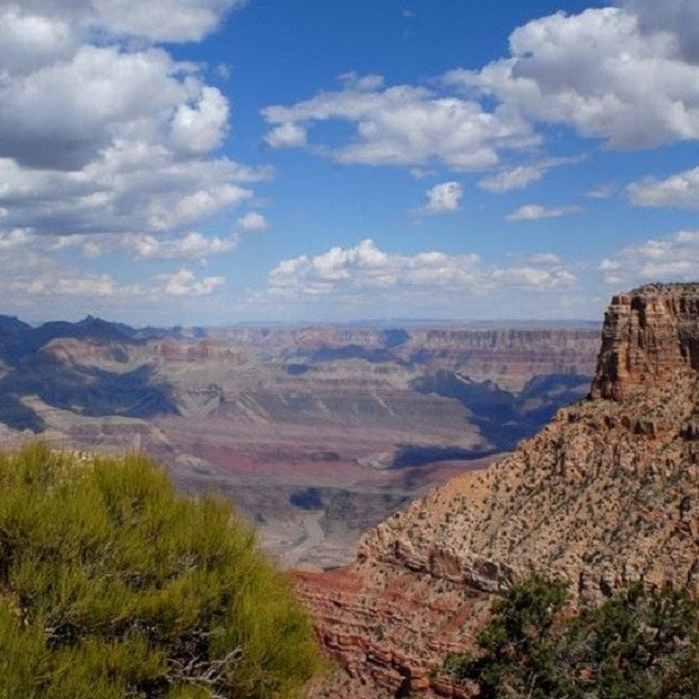 Meet your Posher, Stephanie at