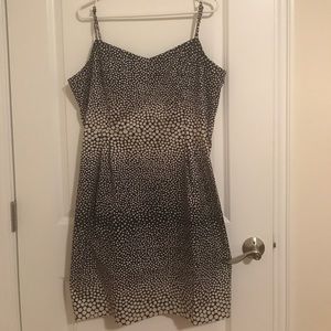 Ann Taylor Loft dress
