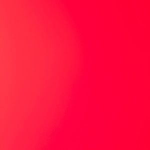 Meet your Posher, Bella