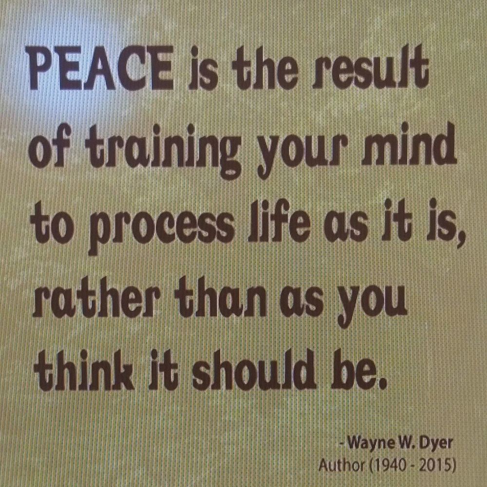 Meet your Posher, Shawn