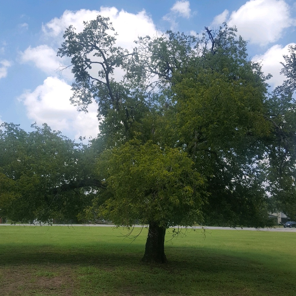 Meet your Posher, Jody