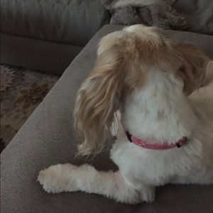 Meet your Posher, Ej